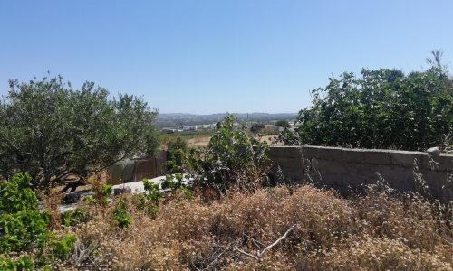 escapeland-realty-building-land-near-naxos-town-area